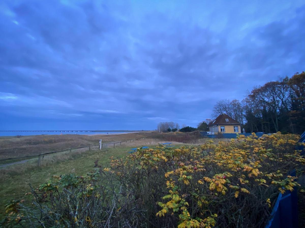Skaerven Beachfront Apartments And Cottage Nyborg Εξωτερικό φωτογραφία